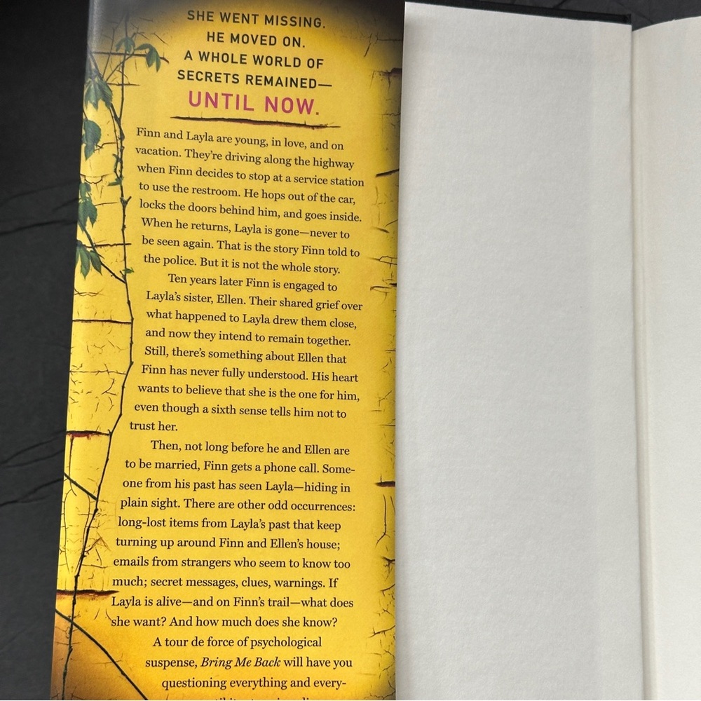 Bring Me Back: A Novel by B.A. Paris | Fiction, Thriller | Hardcover Book - Picture 3 of 10